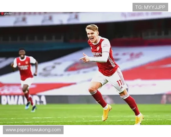 厄德高个人表现与团队成绩的生涯评估