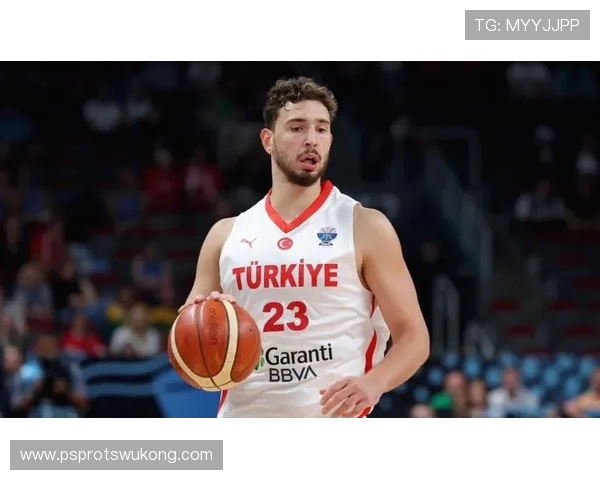 申京挡拆组织力提升带动格林得分