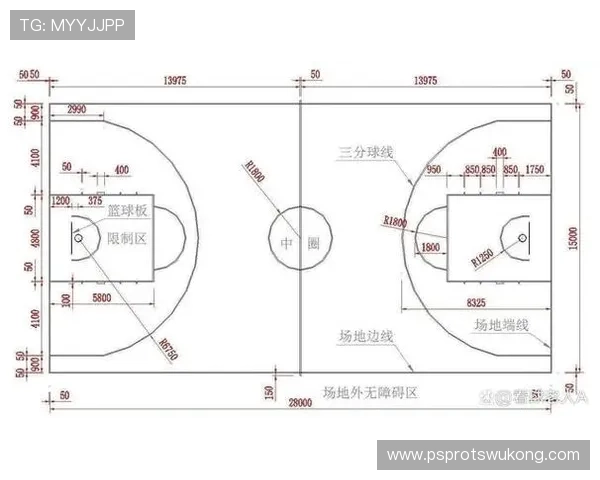 FIBA和NBA规则区别：深度解析关键判罚与战术影响