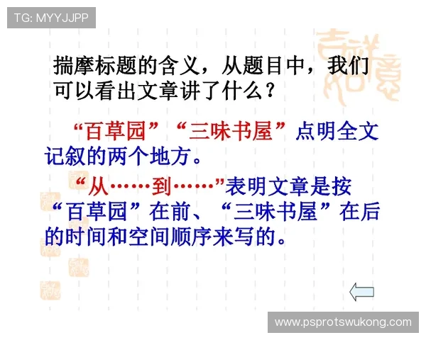 着地空间规则如何理解与判罚标准解析要点汇总