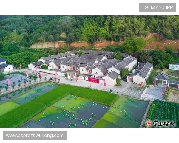 提升前场终结效率是梅州客家当务之急
